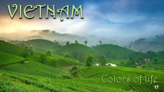 Vietnam Colors of life17