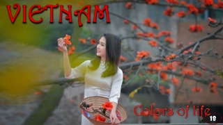 Vietnam Colors of life18