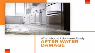 What should I do immediately after water damage_