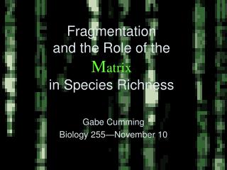 Fragmentation and the Role of the M atrix in Species Richness