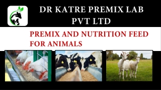 Premix and Nutrition Feed For Animals by Dr Katre Premix Lab Pvt Ltd