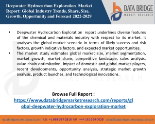 Deepwater Hydrocarbon Exploration  Market