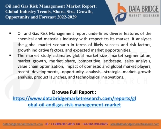 Oil and Gas Risk Management Market