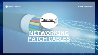 networking patch cables