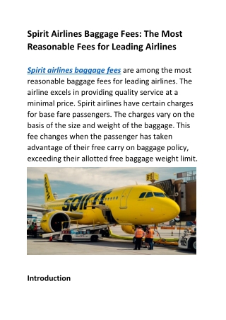 Spirit Airlines Baggage Fees