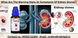 What Are The Warning Signs Or Symptoms Of Kidney Stones?