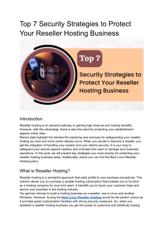 Top 7 Security Strategies to Protect Your Reseller Hosting Business (1)