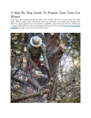 A Step By Step Guide To Prepare Your Trees For Winter