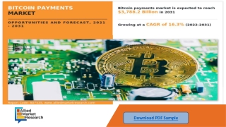 Bitcoin Payments Market Research, 2031