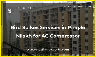 Bird Spikes Services in Pimple Nilakh for AC Compressor