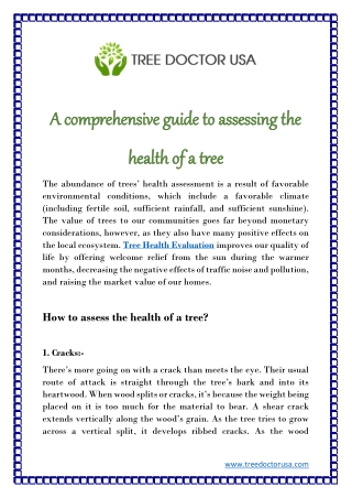 A comprehensive guide to assessing the health of a tree