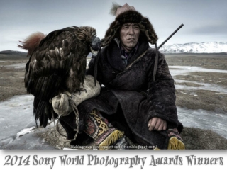 2014 Sony World Photography Awards winners