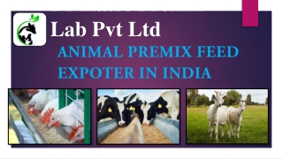Animal Premix Feed Expoter in India by Dr Katre Premix Lab Pvt Ltd