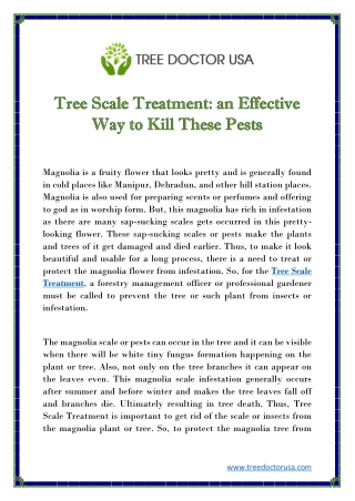 Tree Scale Treatment an Effective Way to Kill These Pests (1)