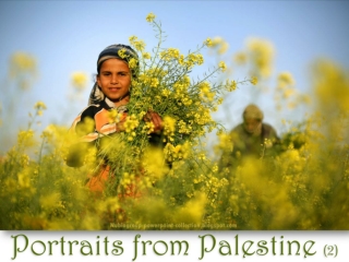 Portraits from Palestine (2)