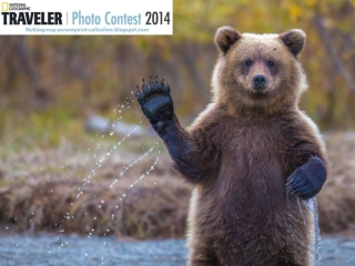 NG Traveler Photo Contest 2014 (part 1)