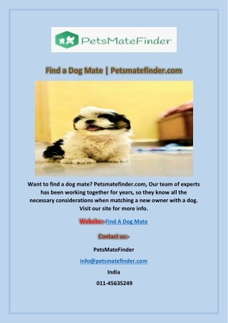 Find a Dog Mate | Petsmatefinder.com