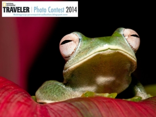 NG Traveler Photo Contest 2014 (part 3)