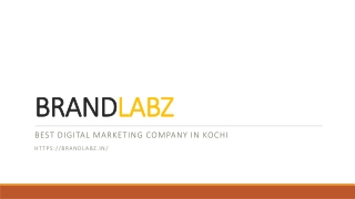 BRANDLABZ 123