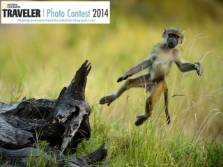 NG Traveler Photo Contest 2014 (part 4)