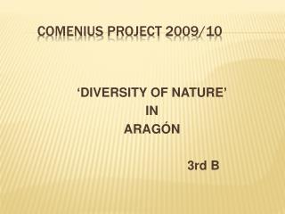 Comenius project 2009/10
