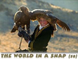 The World in a SNAP (58)