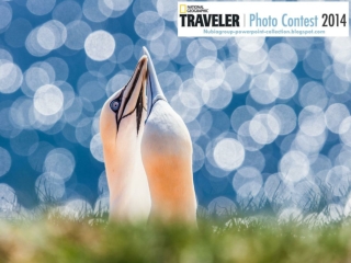 NG Traveler Photo Contest 2014 (part 5)