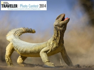 NG Traveler Photo Contest 2014 (part 6)