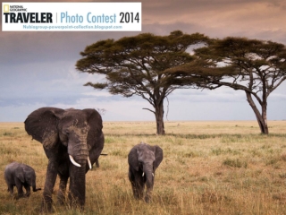 NG Traveler Photo Contest 2014 (part 7)