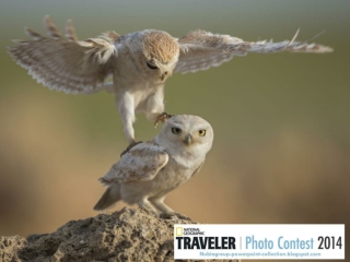 NG Traveler Photo Contest 2014 (part 8)