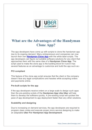 What are the Advantages of the Handyman Clone App