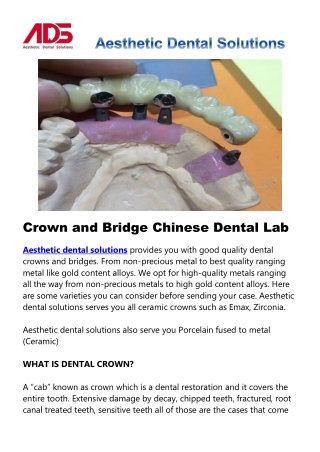 Crown and Bridge Chinese Dental Lab