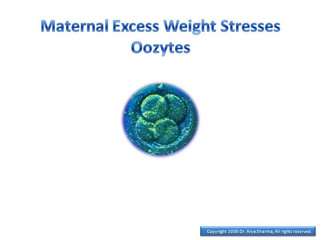 Maternal Excess Weight Stresses Oozytes