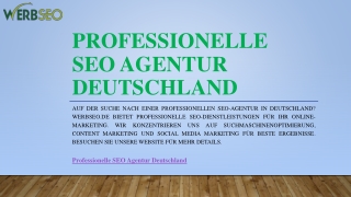 Professionelle Seo Agentur Deutschland | Werbseo.de