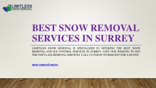 Best Snow Removal Services in Surrey