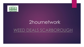 Weed Deals Scarborough | Kushnetwork.online