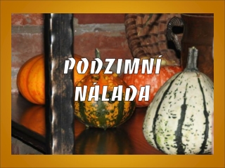 Podzimni nalada (Yveta)