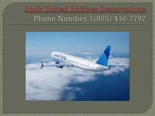 United Airlines  @  1~855~416~7797