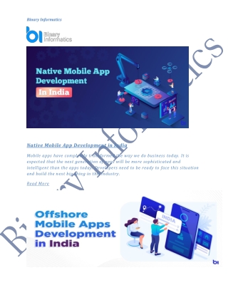 Binary Informatics |Offshore Development Company