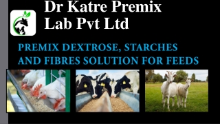 Premix Dextrose, starches and fibres solution for feeds by Dr Katre Premix Lab Pvt Ltd