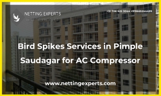 Bird Spikes Services in Pimple Saudagar for AC Compressor