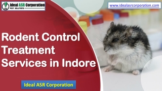 Rodent Control Treatment Services in Indore