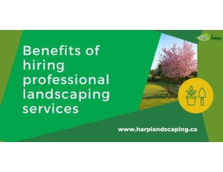Benefits of hiring professional landscaping services