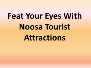 Feat Your Eyes With Noosa Tourist Attractions
