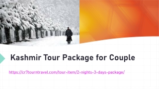 Kashmir Tour Package for Couple_