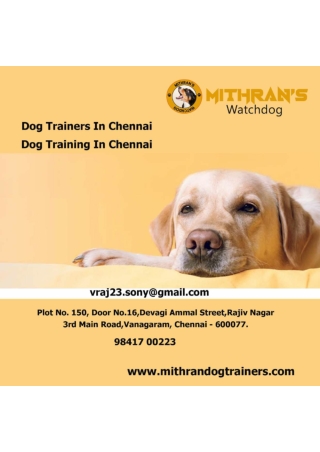 Dog Trainers In Chennai