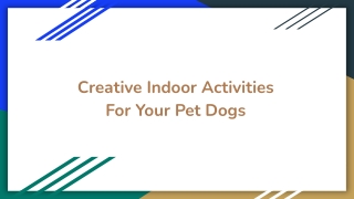 Creative Indoor Activities For Your Pet Dogs