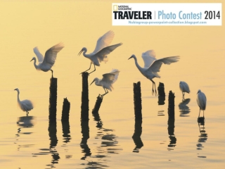 NG Traveler Photo Contest 2014 (part 10)