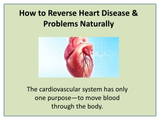 Cardiotone XL for a Strong and Healthy Heart