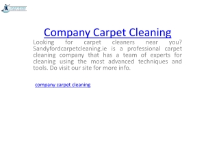 Company Carpet Cleaning  Sandyfordcarpetcleaning.ie